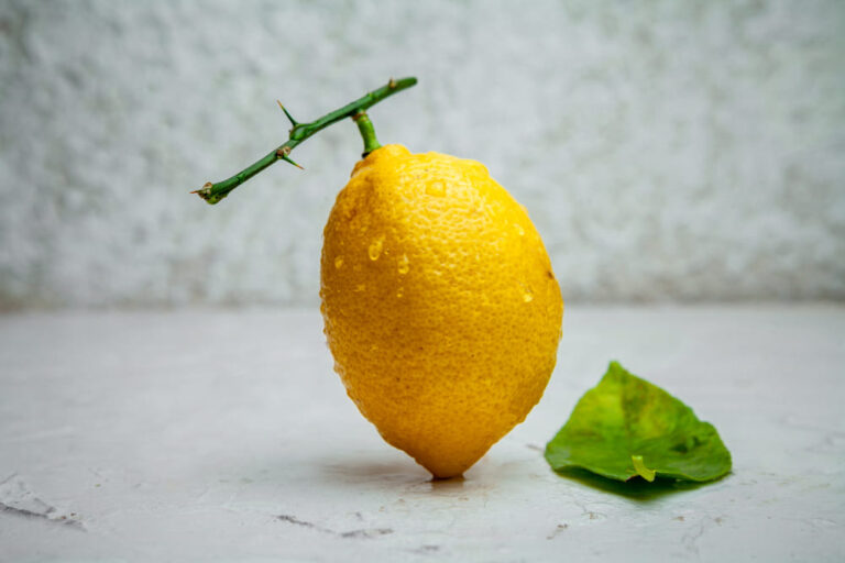 lemon